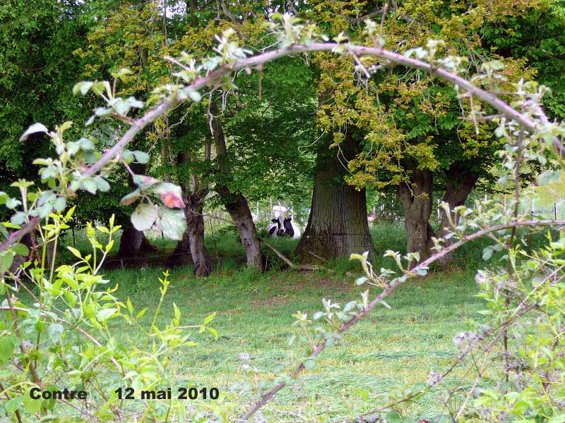 128_04 Contre.jpg